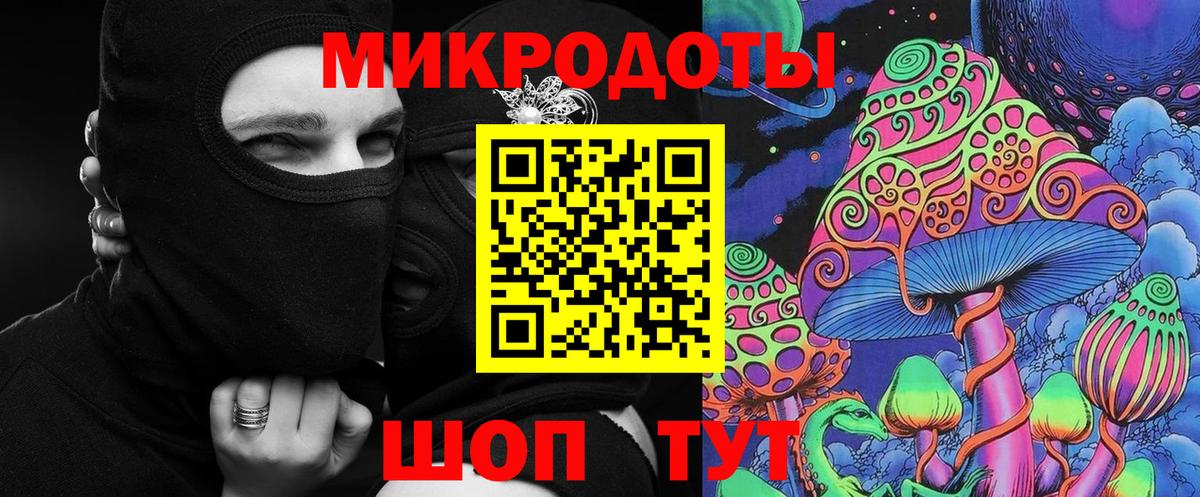 Псилоцибиновые грибы Psilocybine cubensis Артём